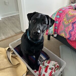 Meet your Posher, Bryan